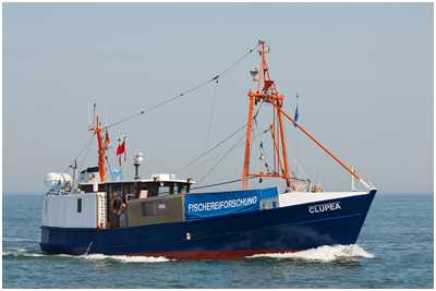 Fischereiforschungskutter Clupea